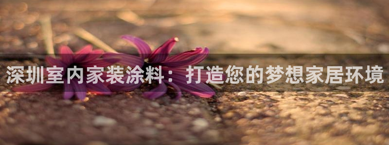 和记(福建)商贸有限公司招聘：深圳室内家装涂料：打造您的梦想家居环境