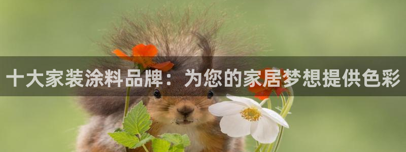 和记网页：十大家装涂料品牌：为您的家居梦想提供色彩