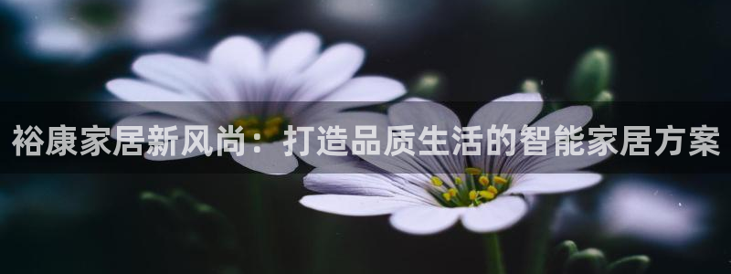 和记国际电讯市值：裕康家居新风尚：打造品质生活的智能家居方案