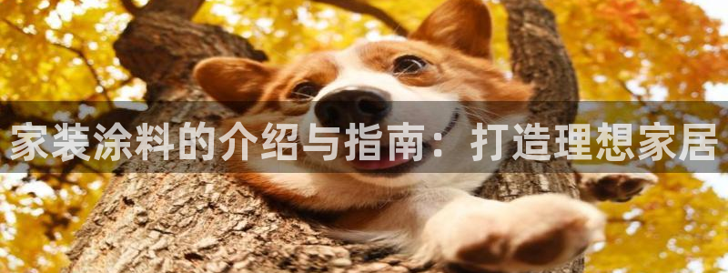 和记旗舰厅：家装涂料的介绍与指南：打造理想家居