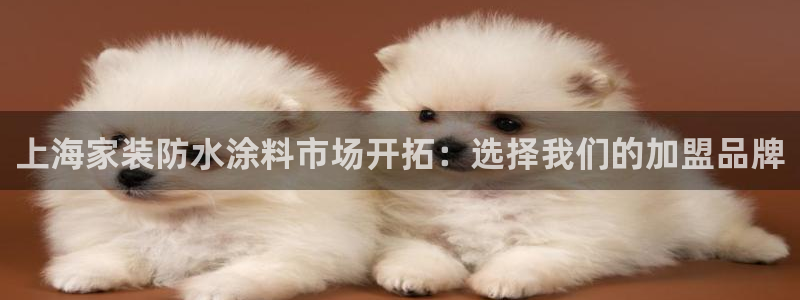和记平台登录：上海家装防水涂料市场开拓：选择我们的加盟品牌
