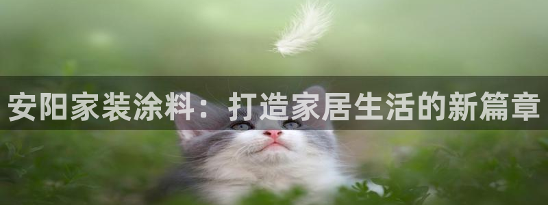 和记ag网页版：安阳家装涂料：打造家居生活的新篇章