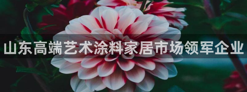 和记国际：山东高端艺术涂料家居市场领军企业