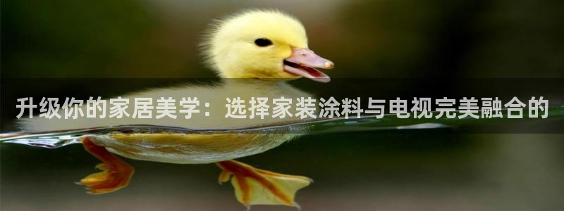 和记国际开户网站：升级你的家居美学：选择家装涂料与电视完美融合的