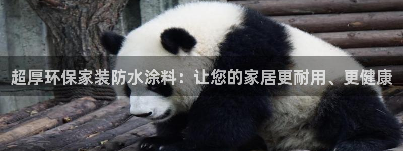 和记网页版登陆：超厚环保家装防水涂料：让您的家居更耐用、更健康