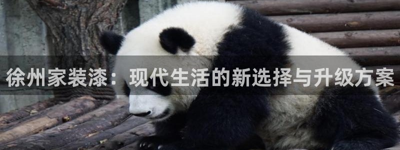 和记官网 公司：徐州家装漆：现代生活的新选择与升级方案