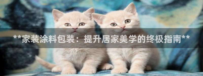 和记登陆：**家装涂料包装：提升居家美学的终极指南**