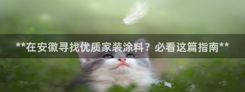 和记广告女主角